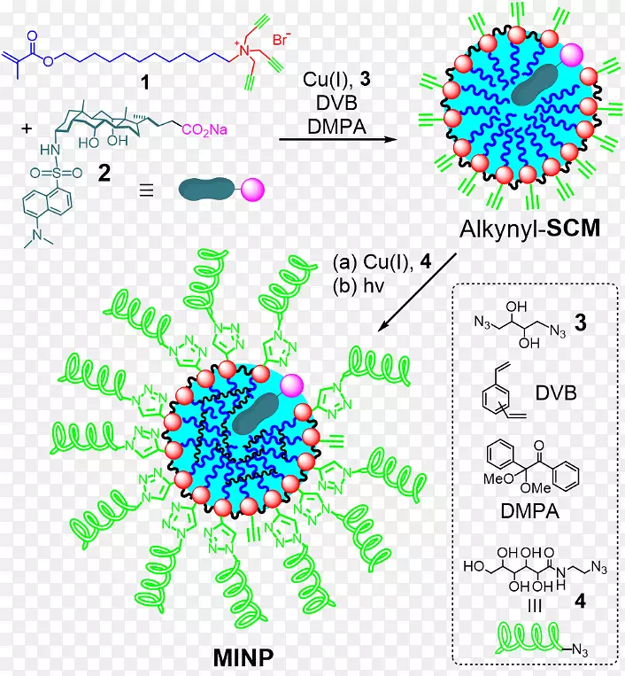 纳米蛋白胶束分子疏水效应-粒子化学