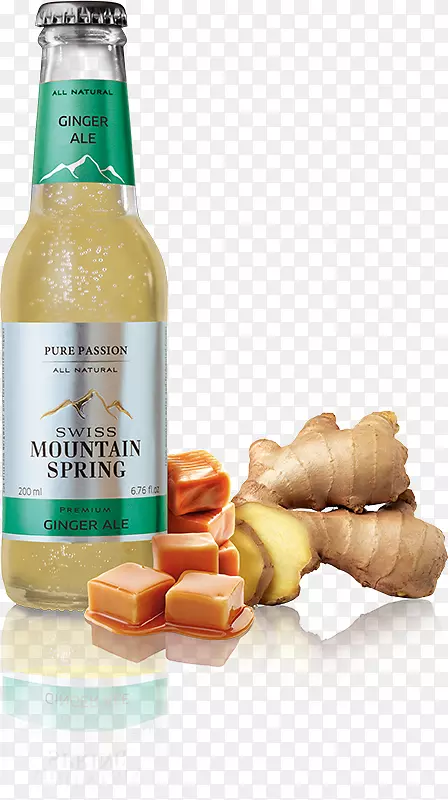 利口酒啤酒瓶风味由鲍勃·霍姆斯，乔纳森·严(旁白)(9781515966647)蔬菜-瑞士山脉