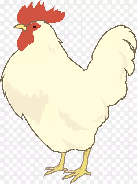 鸡角鸡夹艺术png图片-白色莱霍恩公鸡