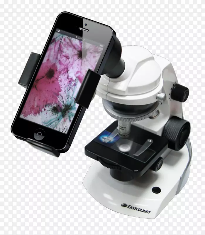 显微镜目镜高清晰度视频放大显微镜下花粉