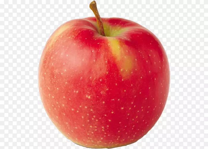 乔纳戈尔德苹果园康特兰脆密西根樱桃品种