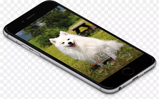 智能手机iPhone 6s iPhone 4s IOS iPhone 5s-iPhone 8 Amazon