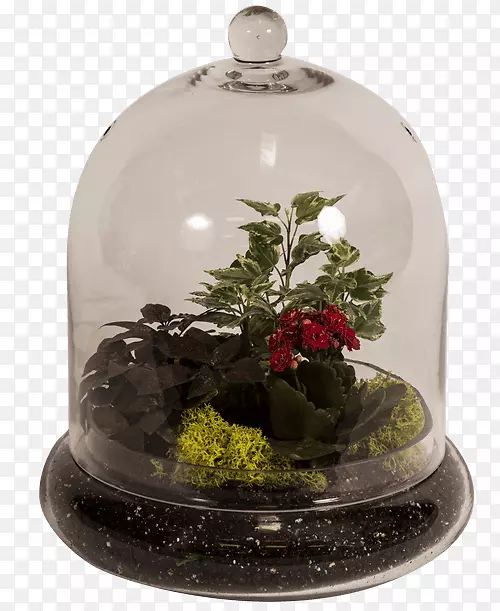 圣诞节装饰钟加拿大花圣诞日-苔藓水族馆