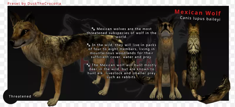 狗越轨艺术家皮肤-墨西哥灰狼画