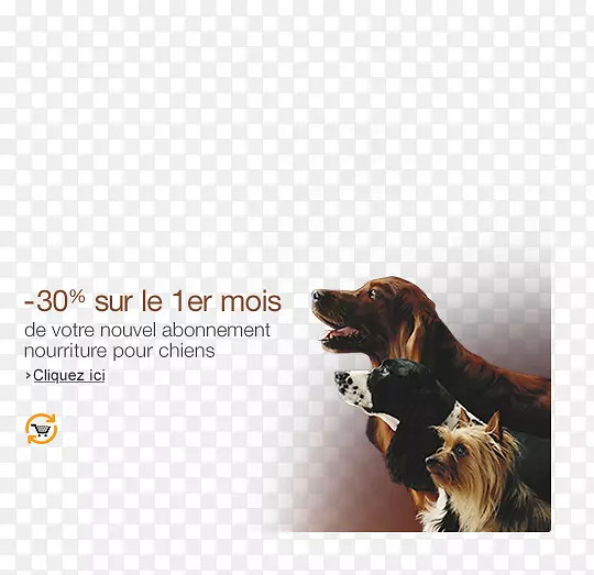 狗种广告皮带-2013年亚马逊广告代码
