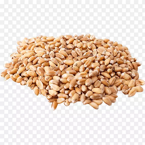 有机食品小麦浆果谷类谷物麦草荞麦粉50磅