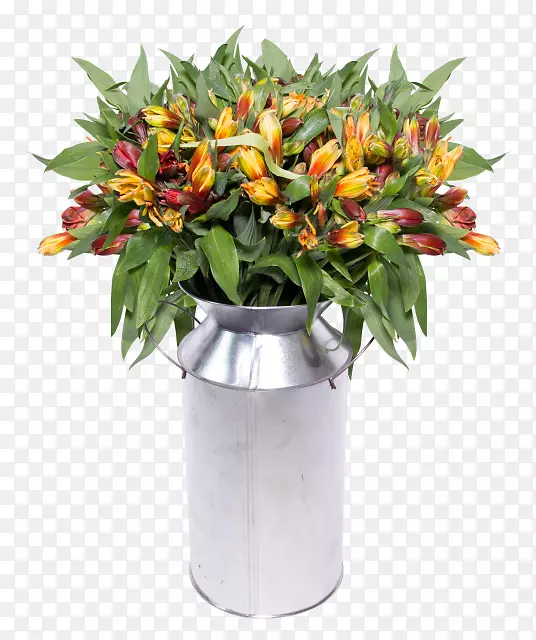 花卉设计花瓶切花室内植物狂欢节微风
