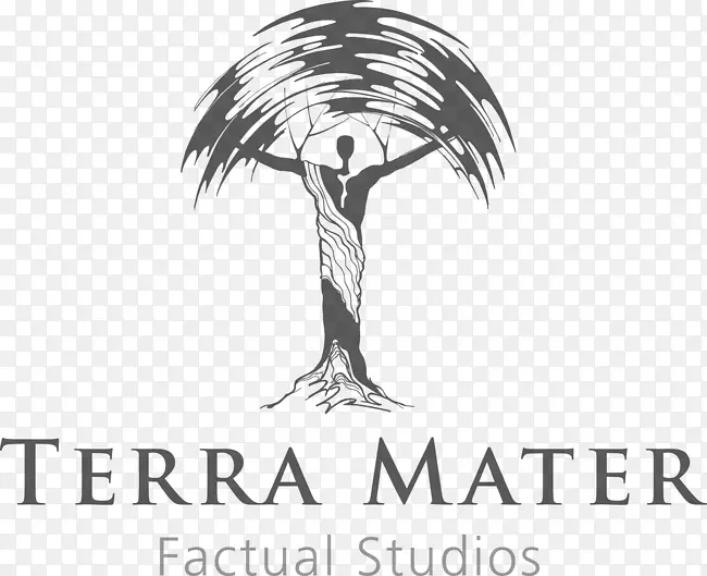 Terra Mater事实工作室，gmbh电影制片人，自然演员-红牛悬崖跳水