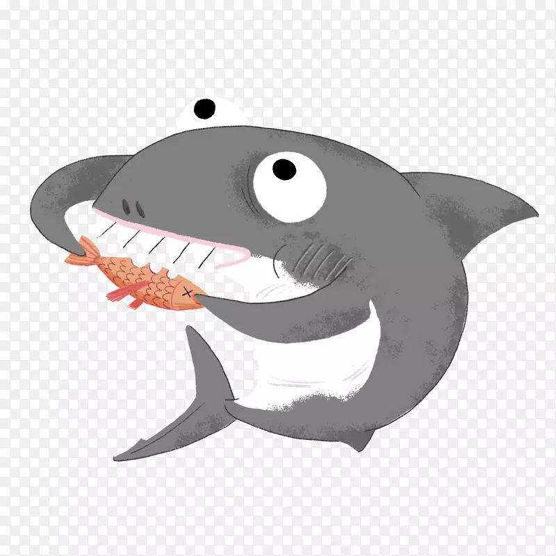 如何生存作为一个鲨鱼大白鲨插图儿童文学-吃鲨鱼海豹