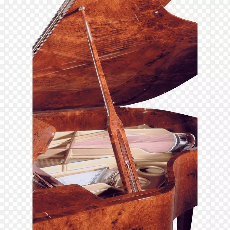 大钢琴乐器法子利立式钢琴沙龙隆重开幕特辑