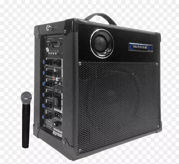 音频无线麦克风公共广播系统无线扬声器RCA声音系统接收器