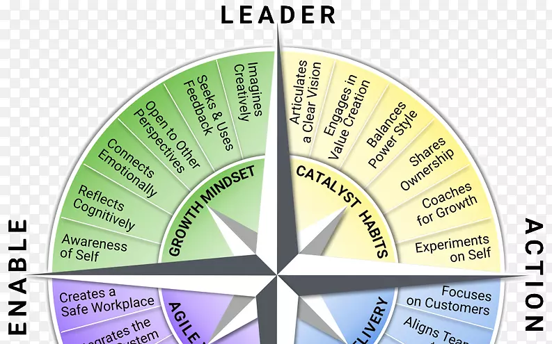 敏捷领导组织指南针管理-适应性领导框架