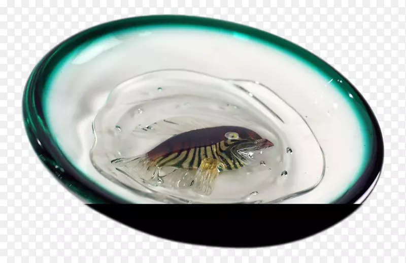 餐具目镜牢靠黏液鱼缸