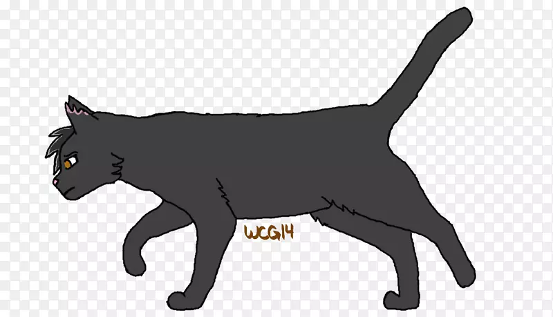 小猫马克斯猫科拉特黑猫胡须-战士猫画翅膀