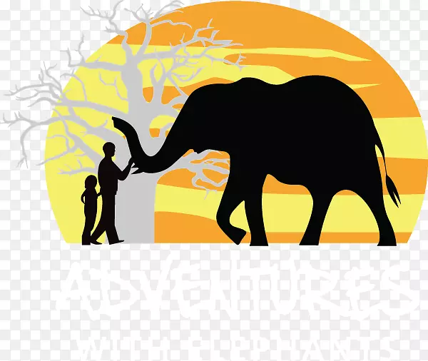 印度象非洲象夹象艺术冒险与大象-犀牛偷猎