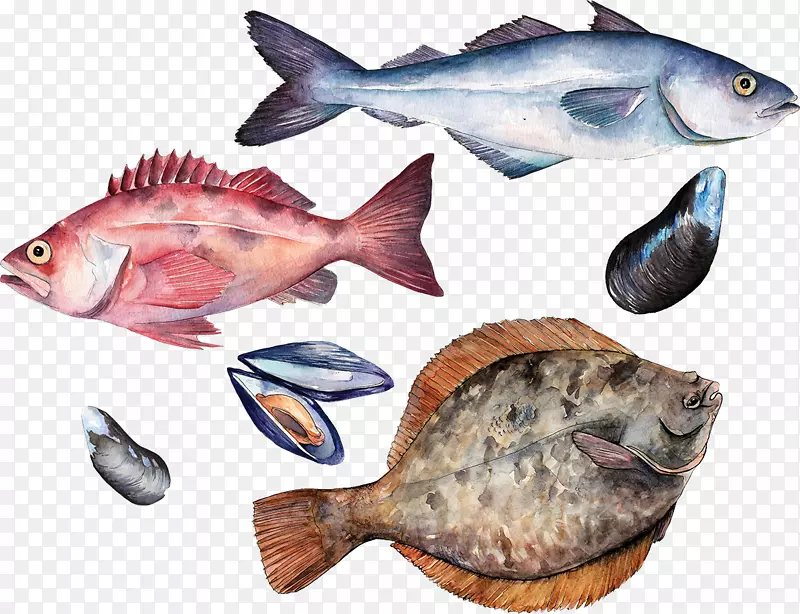 鱼类学校海鲜教育-简易海鲜烘焙
