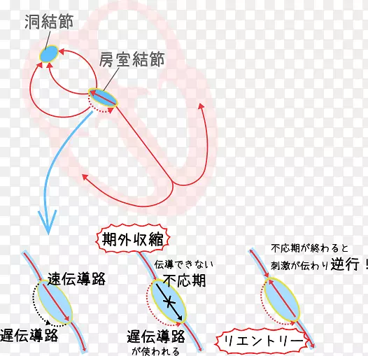 室上性心动过速窦房结房室结心电