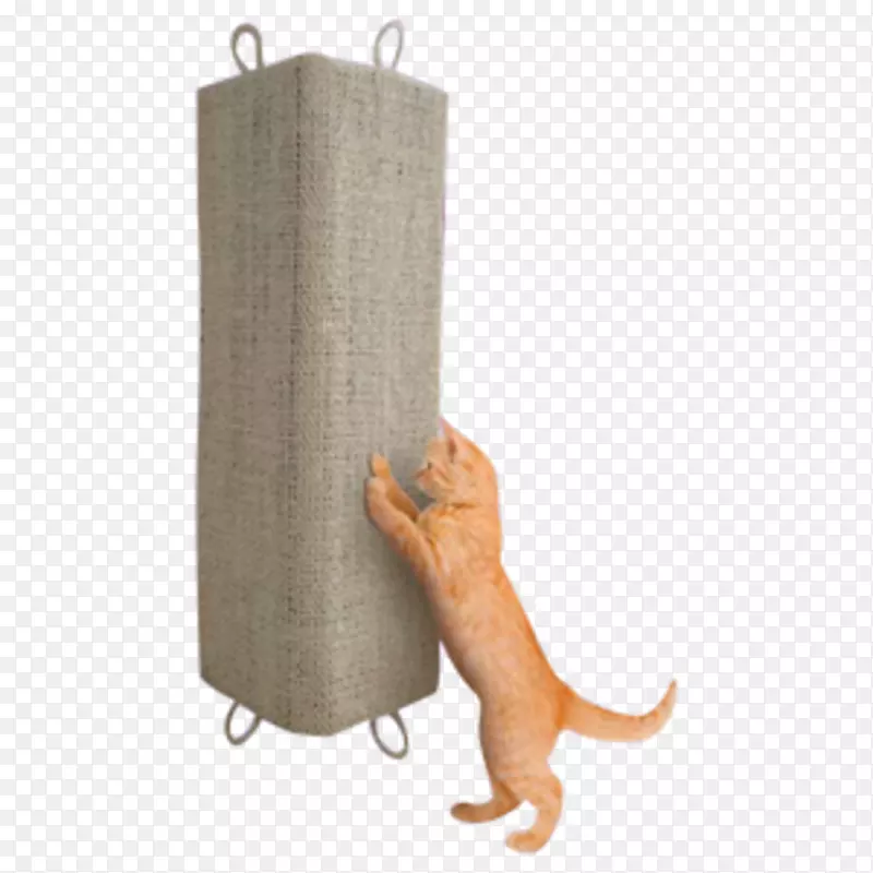 猫阿多里角板(Hoek)米色28x52厘米，刮擦后，毛皮和木板，基拉板，腹板