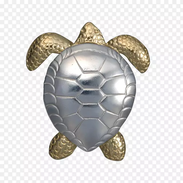 海龟-海龟设计