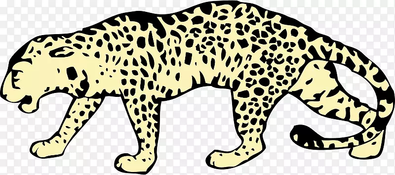 猎豹猫科虎夹艺术黑豹-豹盒打开