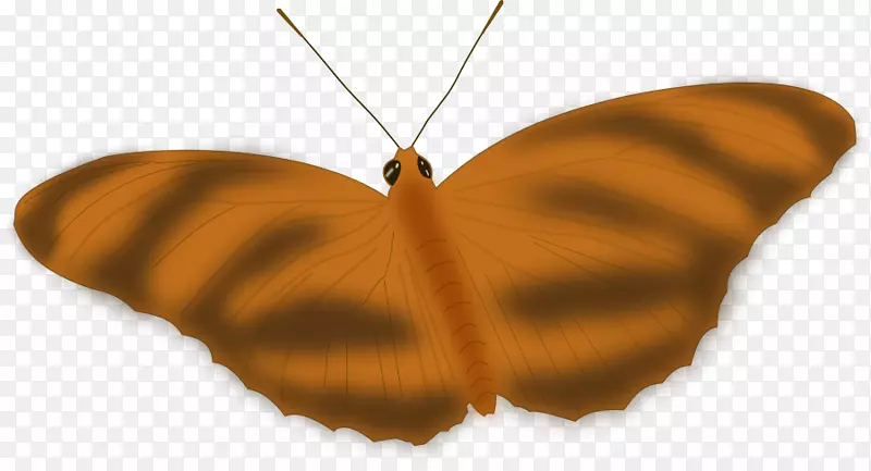 帝王蝴蝶剪贴画昆虫图形帐篷设计模仿树叶