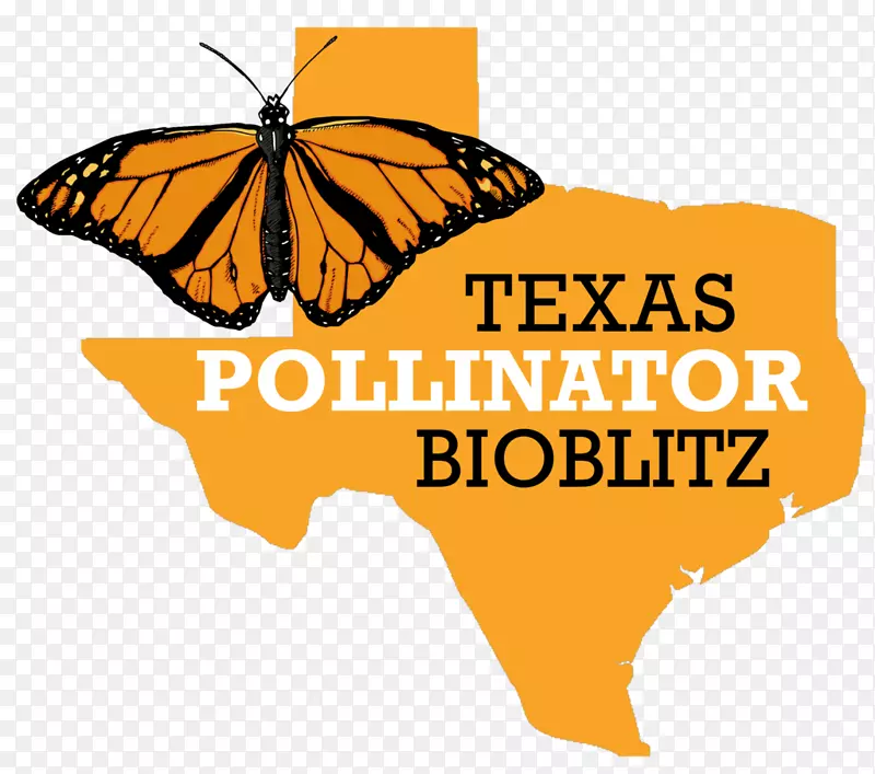 德克萨斯州帝王蝴蝶2018年草原恢复综述生物oblitz-得克萨斯州通用应用