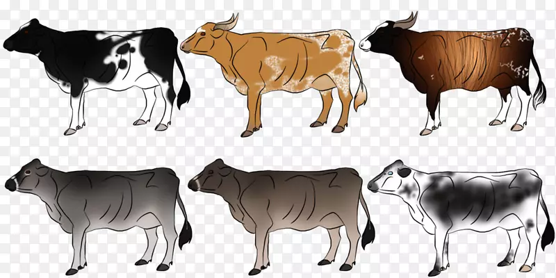 奶牛，玉米牛，剪贴画，野生动物.瑞士奶牛壁纸