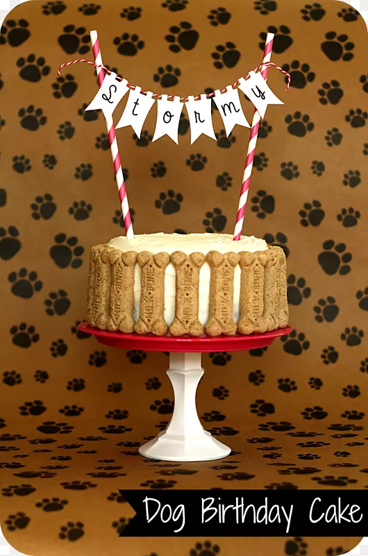 小狗生日蛋糕-小狗一岁生日蛋糕食谱
