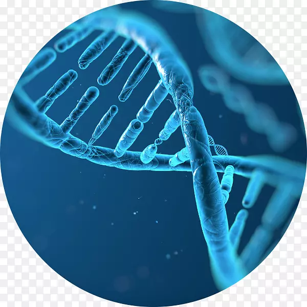 DNA图谱分子生物学遗传学测试焦虑