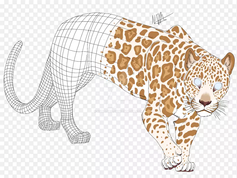 豹须SEPECAT美洲虎动物群-白化美洲虎动物