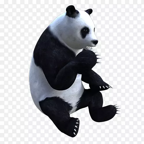 大熊猫毛绒动物&可爱的玩具鼻子-酷的虚拟现实耳机