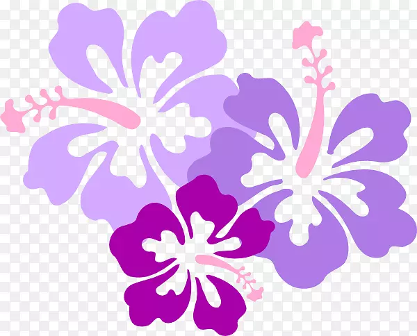 夏威夷语言剪辑艺术迷迭香花紫色夏威夷