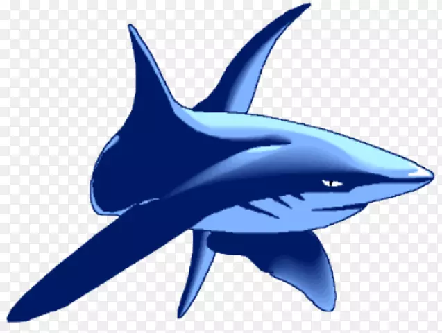 普通宽吻海豚鲨鱼恐龙地球形象学校
