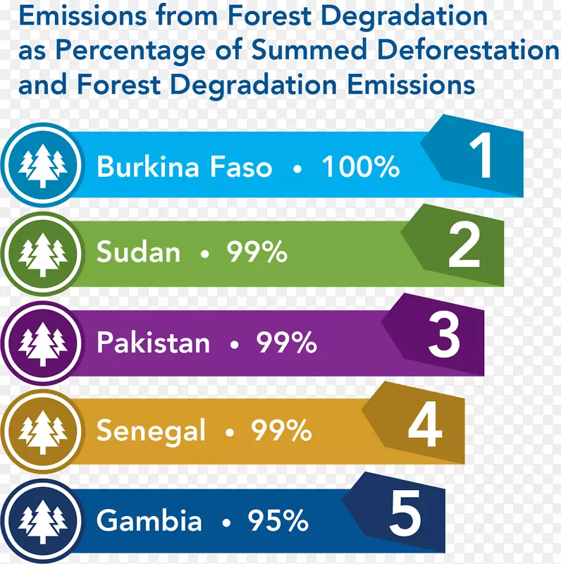 砍伐温室气体巴基斯坦碳足迹环境退化-重要的温室气体
