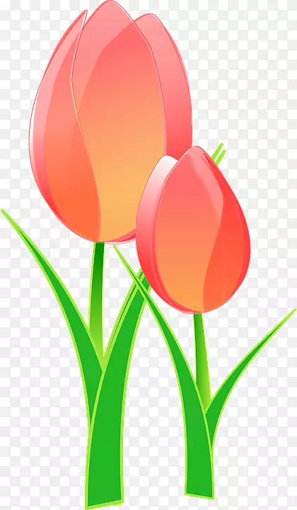 英迪拉甘地纪念郁金香花园剪贴画图形开放部分友谊被子郁金香