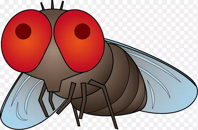 苍蝇、蚊虫插图、害虫防治-继续做梦