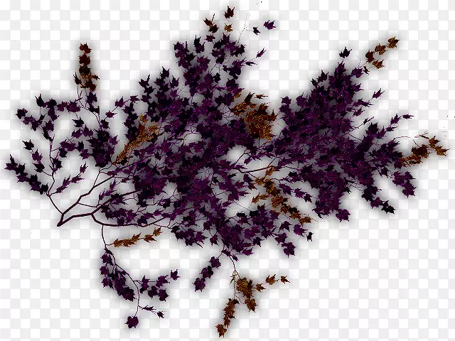 剪贴画植物藤蔓图像png图片.紫色爬行器