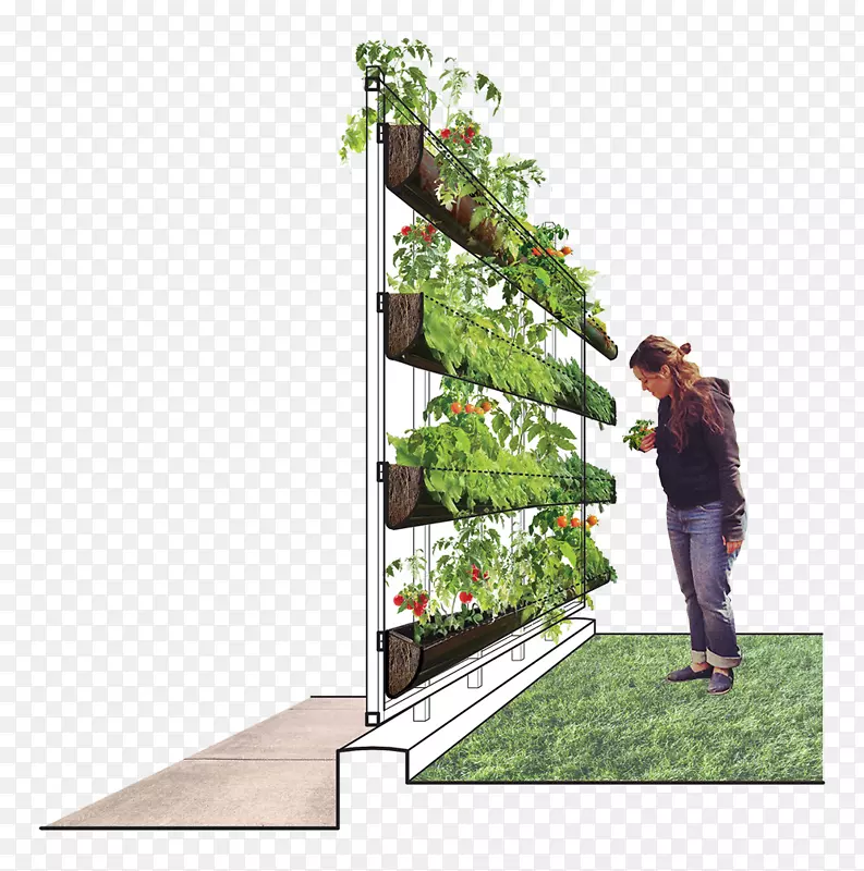拉姆拉·贝奈萨建筑师建筑花园设计-肥胖脸型长发