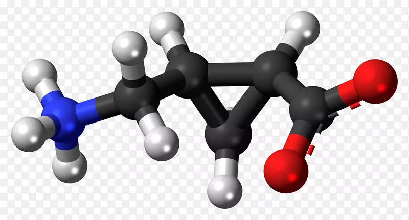 羧酸氨基酸有机化合物羧基cAMP分子