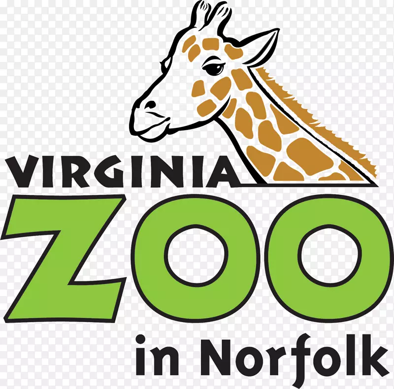弗吉尼亚动物园长颈鹿标志野生动物园-家庭学校创作创意
