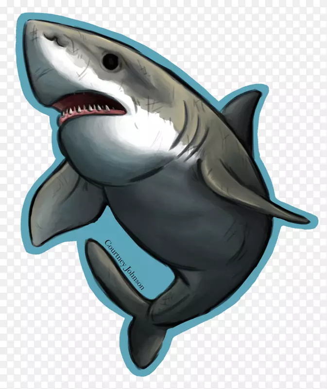 虎鲨海洋脊椎动物安魂曲鲨鱼-2015年鲨鱼周