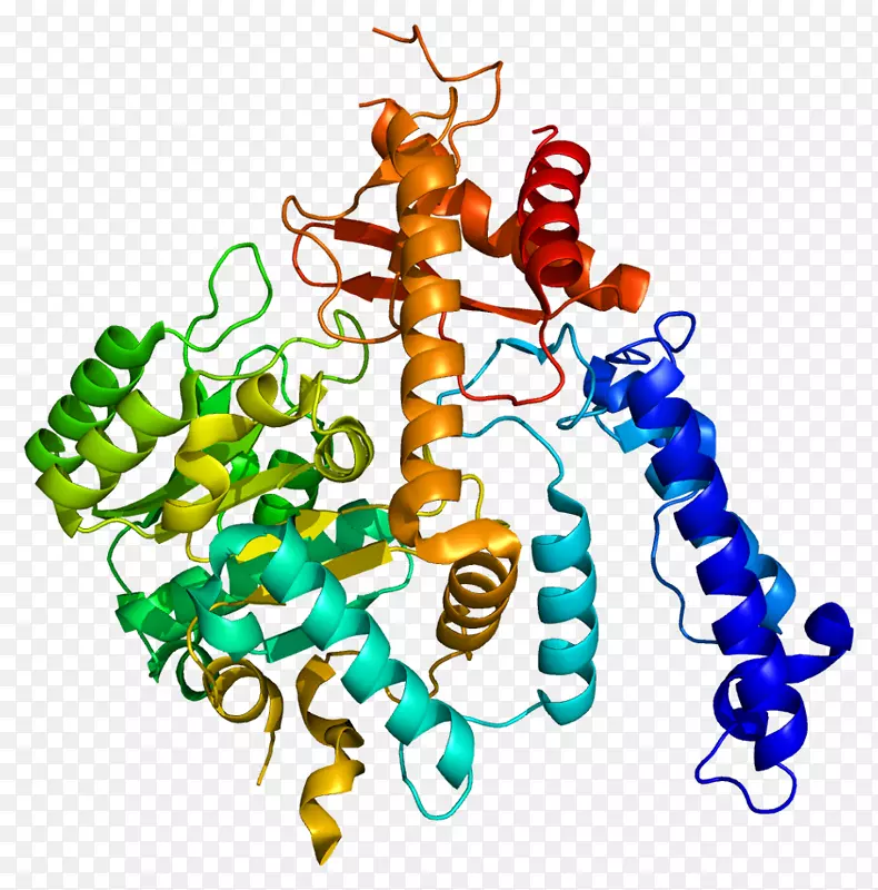GAD 2谷氨酸脱羧酶1谷氨酸蛋白连接化学突触