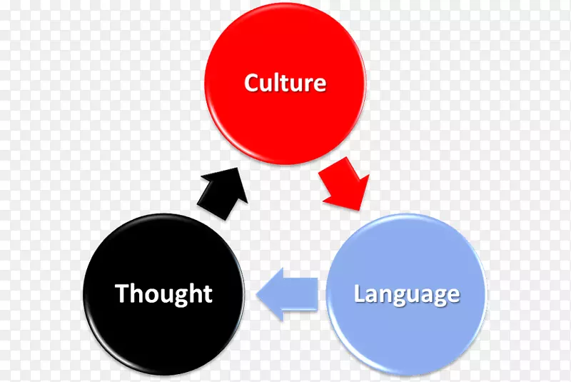社会文化视角皮亚杰的认知发展文化理论儿童发展-言语发展图