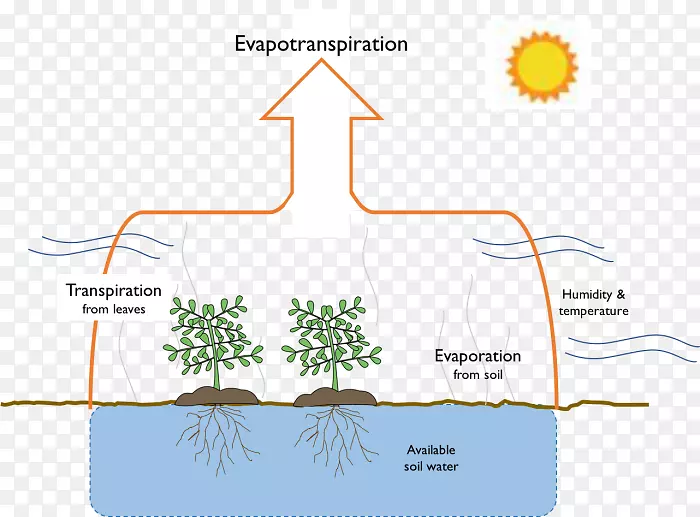 蒸发和蒸散：湿热天气水草的测量和估算