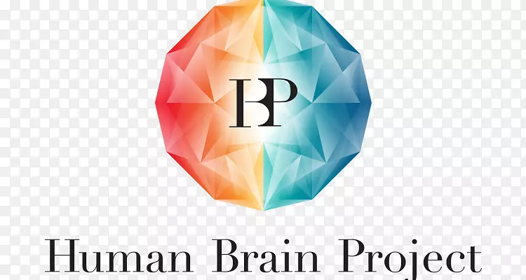 人类大脑项目-欧洲联盟-洛桑多技术学院-人脑项目