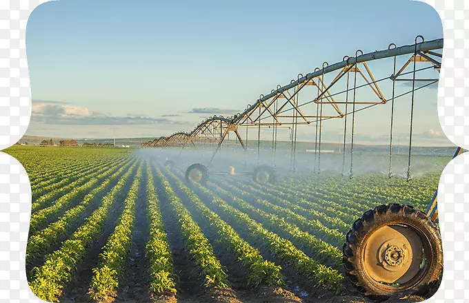 精确灌溉现代化：对土地所有者在北维多利亚的现代化输送系统的文献和连接选择的见解，硬件泵，农业-德克萨斯农业作物