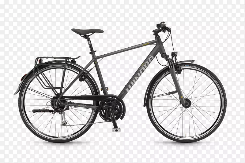 混合自行车罗利自行车公司自行车架巨型自行车-TX高速公路199