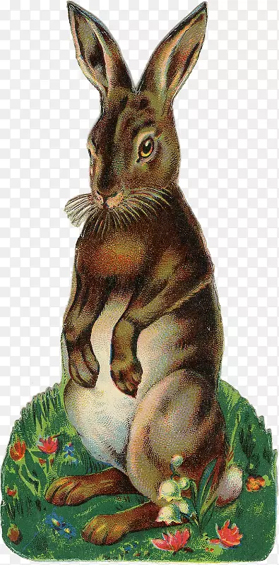 复活节兔插图-古董复活节兔子