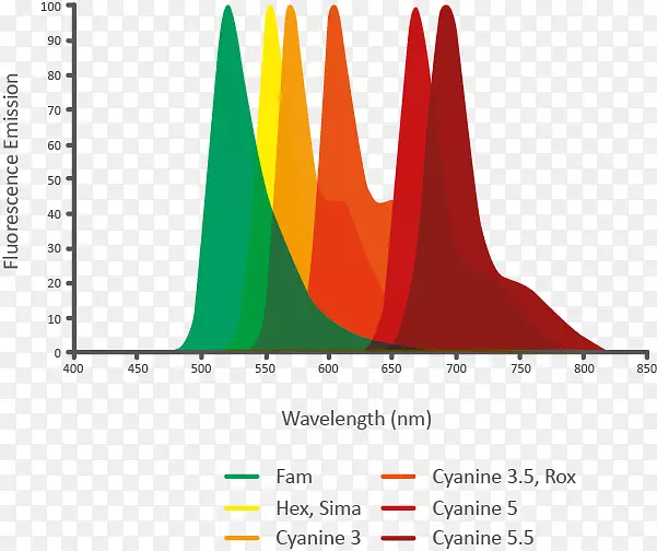 荧光寡核苷酸杂交探针发射光谱荧光染料十六进制