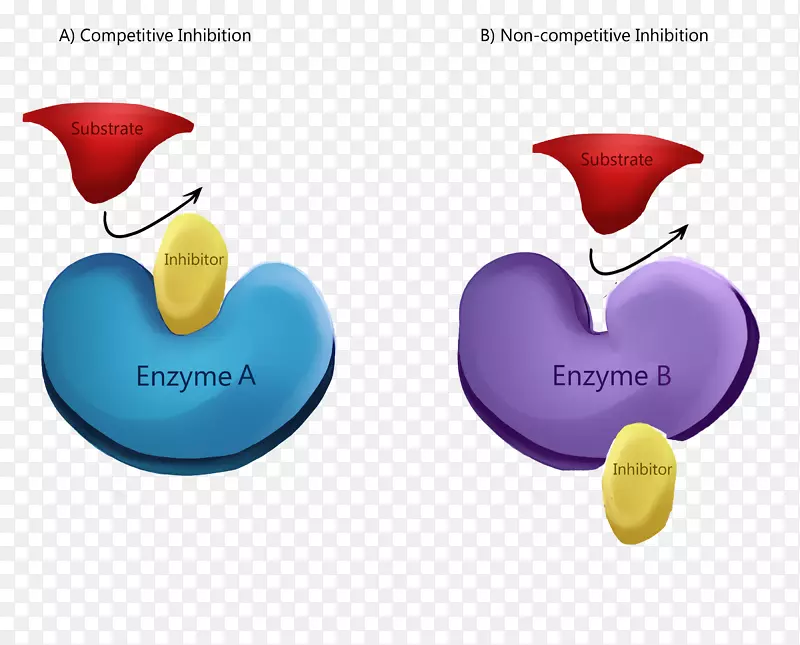 酶抑制剂竞争性抑制变构调节反应抑制剂酶活性